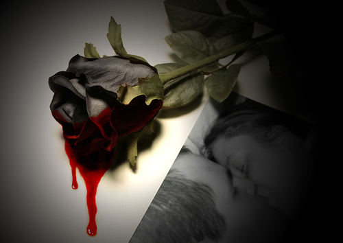 Black bloody rose